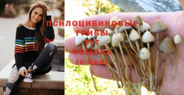 герыч Алексеевка