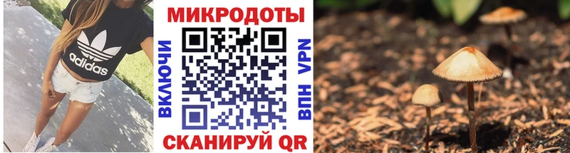 это телеграм  Сарапул  Галлюциногенные грибы Psilocybine cubensis  цены наркотик 
