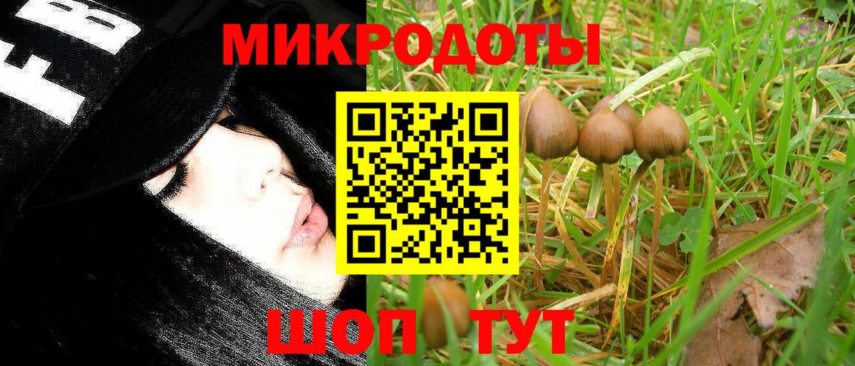 Галлюциногенные грибы MAGIC MUSHROOMS Сарапул